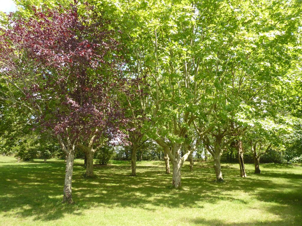Camping Parc Du Chateau D'Allot Hotel Boé Kültér fotó